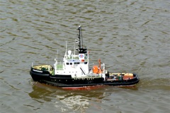 A100.08042111 © Peter Taylor 2008