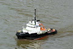 A100.08042112 © Peter Taylor 2008