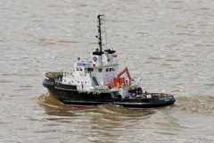 DSC07060 © Peter Taylor 2011