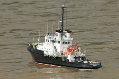 DSC05728 © Peter Taylor 2011