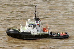 DSC05723 © Peter Taylor 2011