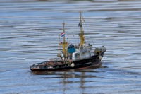 DSC05170 © Peter Taylor 2011