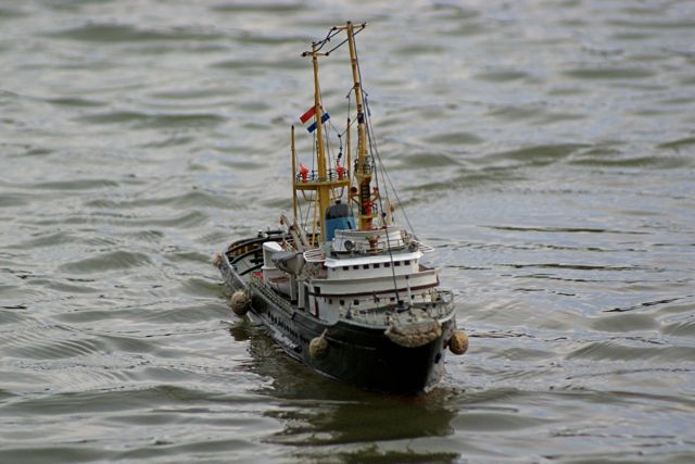 DSC04131 © Peter Taylor 2007