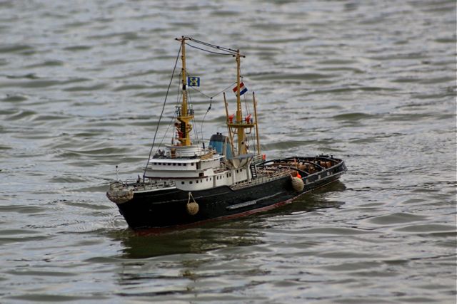DSC04130 © Peter Taylor 2007