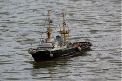 DSC04130 © Peter Taylor 2007