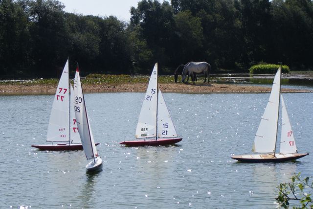 090819.020 © Mike Benton 2009