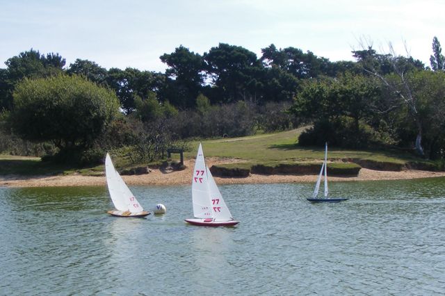 090819.002 © Mike Benton 2009