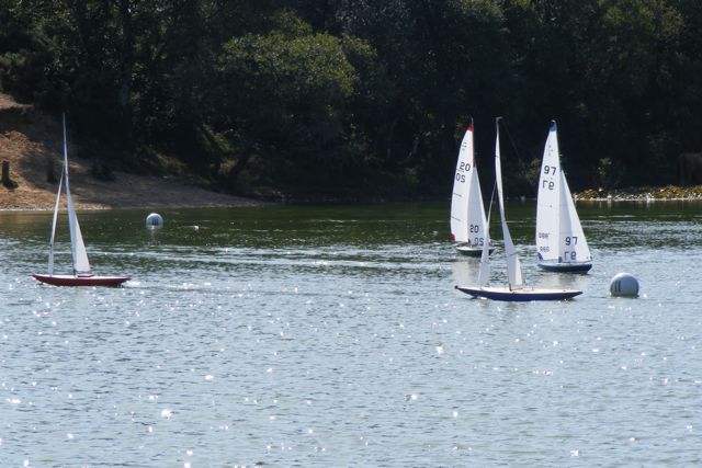 090819.008 © Mike Benton 2009