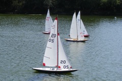 090819.019 © Mike Benton 2009