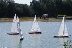 090819.020 © Mike Benton 2009