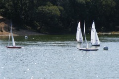 090819.008 © Mike Benton 2009