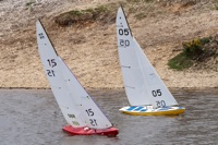 DSC04137 © Peter Taylor 2012