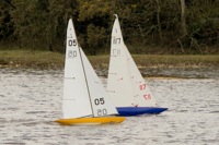 DSC04102 © Peter Taylor 2012