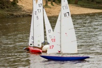 DSC04023 © Peter Taylor 2012