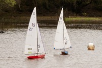 DSC04026 © Peter Taylor 2012