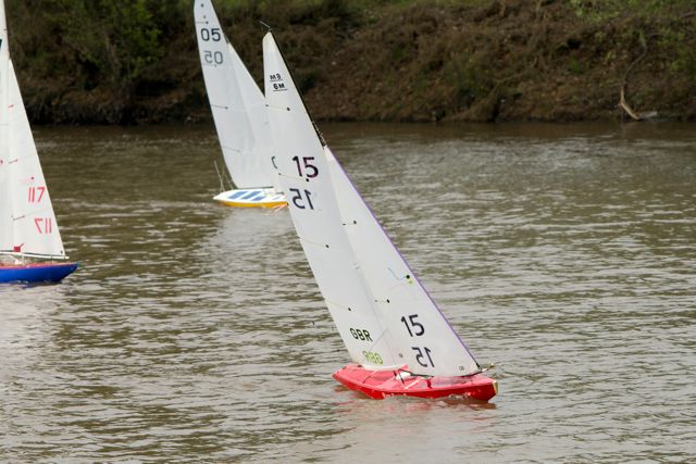 DSC04108 © Peter Taylor 2012