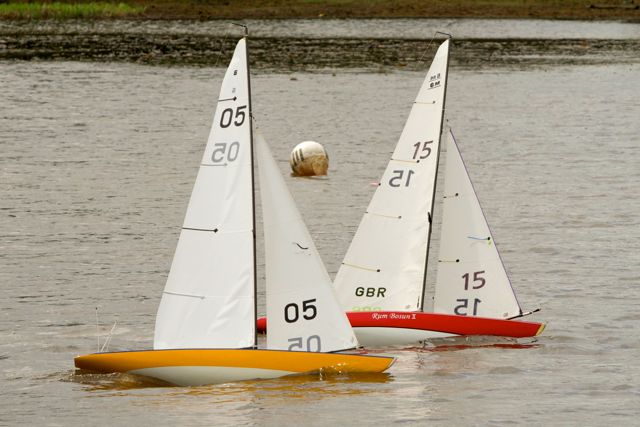 DSC04145 © Peter Taylor 2012