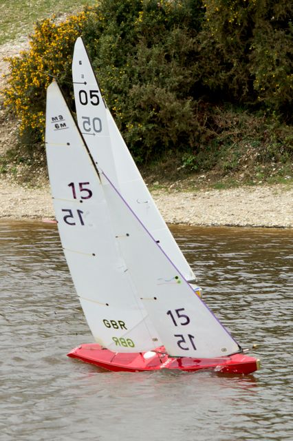 DSC04138 © Peter Taylor 2012