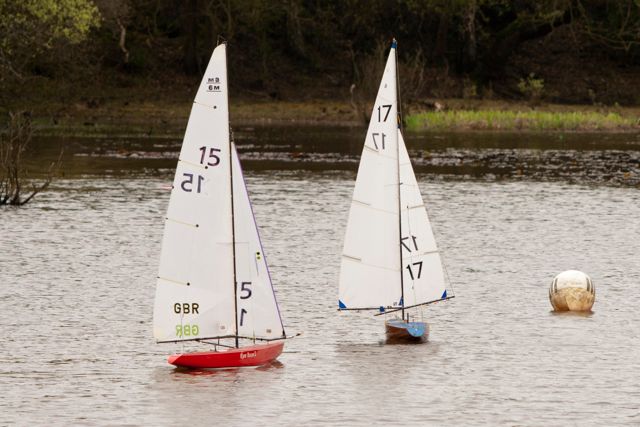 DSC04026 © Peter Taylor 2012