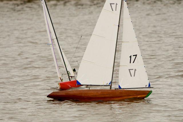 DSC04034 © Peter Taylor 2012