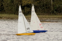 DSC04102 © Peter Taylor 2012