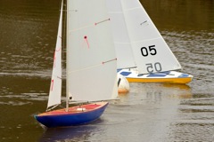 DSC04162 © Peter Taylor 2012