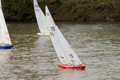 DSC04108 © Peter Taylor 2012