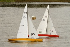 DSC04145 © Peter Taylor 2012
