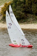 DSC04138 © Peter Taylor 2012