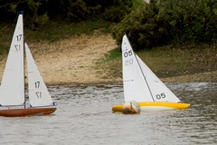 DSC03999 © Peter Taylor 2012