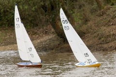 DSC04001 © Peter Taylor 2012