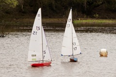 DSC04026 © Peter Taylor 2012