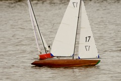 DSC04034 © Peter Taylor 2012