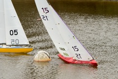 DSC04065 © Peter Taylor 2012