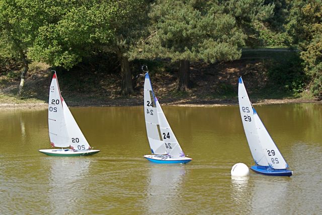 DSC00602 © Peter Taylor 2009