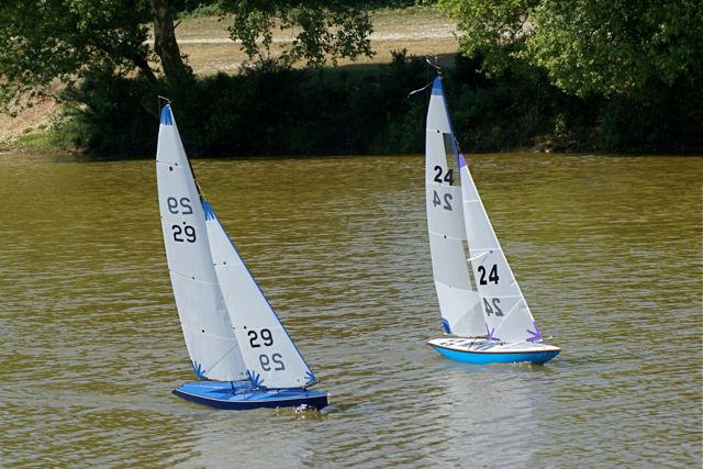 DSC00634 © Peter Taylor 2009