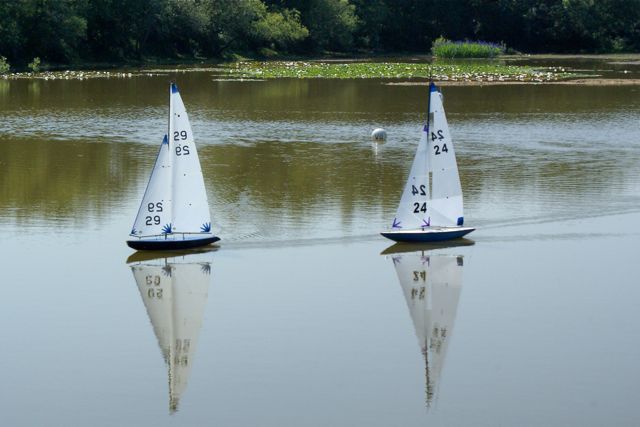 DSC00644 © Peter Taylor 2009