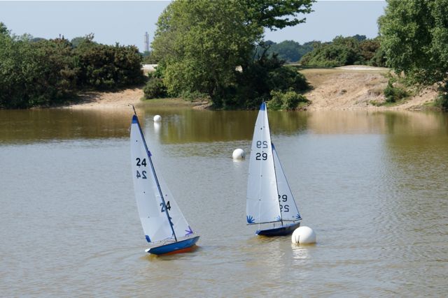 DSC00471 © Peter Taylor 2009