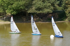 DSC00602 © Peter Taylor 2009