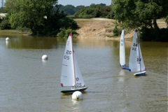 DSC00605 © Peter Taylor 2009