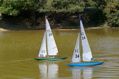 DSC00619 © Peter Taylor 2009