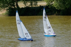 DSC00634 © Peter Taylor 2009