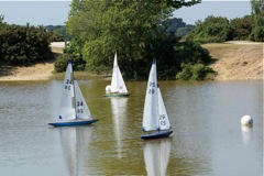 DSC00583 © Peter Taylor 2009