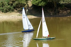 DSC00589 © Peter Taylor 2009