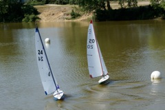 DSC00594 © Peter Taylor 2009