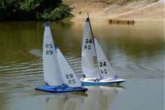 DSC00598 © Peter Taylor 2009