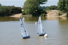 DSC00471 © Peter Taylor 2009