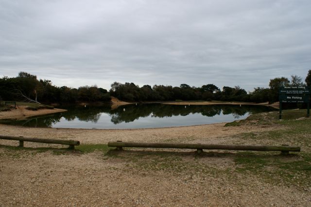 15/10/2009 DSC01006.JPG