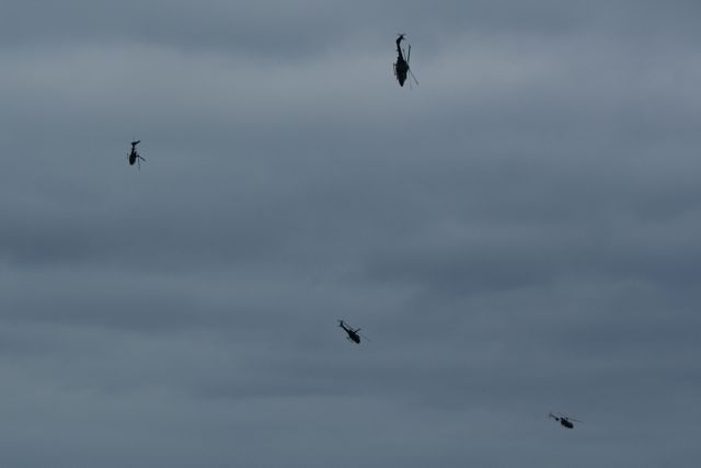 Blue Eagles DSC06247.JPG