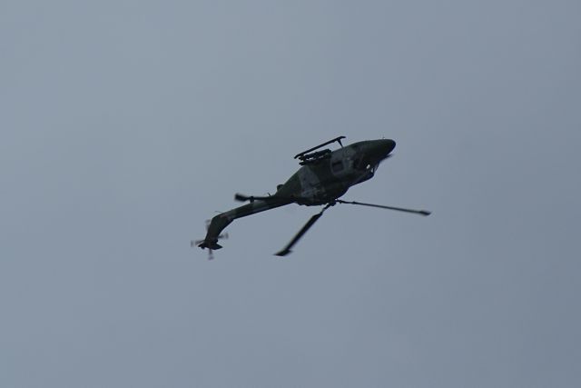 Blue Eagles Lynx DSC06290.JPG